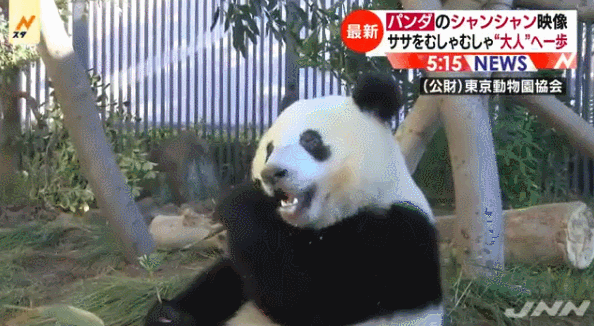1546948423337446.gif